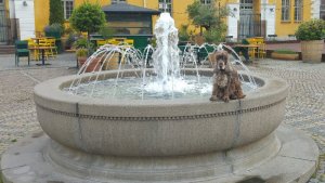 Brunnskar på Drottningtorget