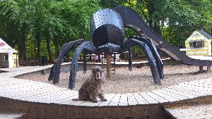 Spindellekplatsen