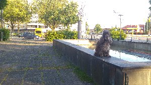 Laxtrappan och Glada laxen