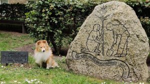 Pildammskoloniens minnessten