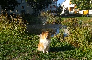 Augustenborgsparkens fontän
