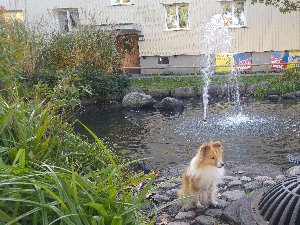 Norra Grängesbergs lilla vattenspel