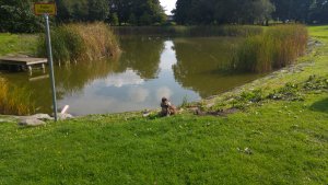 Beijers parks sjö