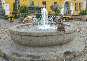 Drottningtorget - Brunnskar
