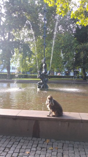Gustav Adolfs torg - Öresund