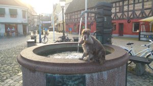 Lilla torg - Samling vid pumpen