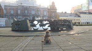Stortorget - Torgbrunn