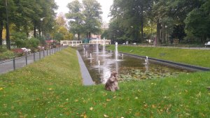 Folkets Park - 11 fontäner och 1 vattenfall