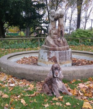 Folkets Park - Najaden