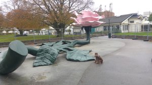 Folkets Park - Rosen