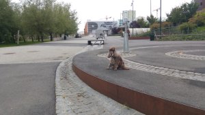 Hyllie vattenpark - Kanalen