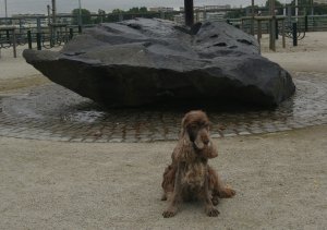 Hyllie vattenpark - Vatteninstallation