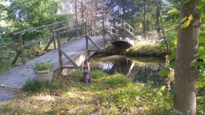 Engelska parken - Monets bro