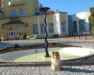 Fontän - Kungsparken, Casinot