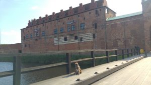 Malmöhus Slott - Slottsgraven