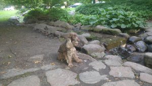Slottsparken - Japanska trädgårdens kanal