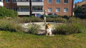 Rosenvångs fontän