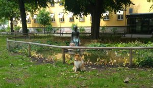 Universitetsjukhuset MAS - Flickan och källan