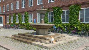 Tandläkarhögskolans gamla fontän