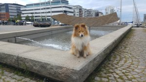 Arch - Dockan Marina