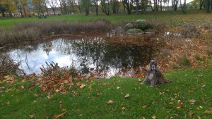 Krokbäcksparkens Sjöar