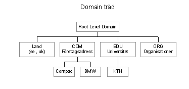 Domain Tree