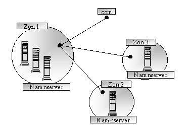 Domain zon